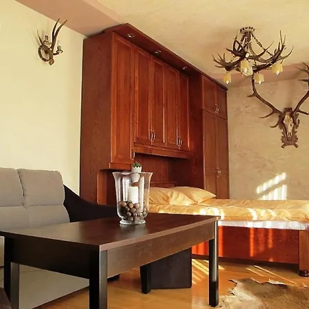Διαμέρισμα Udanypobyt Apartament Mysliwski Kościelisko