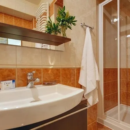 Udanypobyt Apartament Mysliwski * Kościelisko